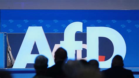 Europawahlprogramm Afd Will Radikale Abkehr Von Der Eu