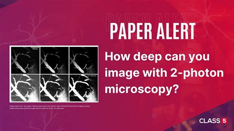 Paper Alert: How deep can you image with 2-photon microscopy? - Class 5 ...