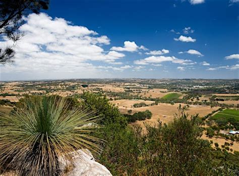 Mount Barker Summit - Mount Barker Summit, Attraction | South Aus...