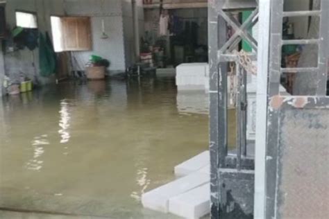 Banjir Di Lamongan Meluas Hingga 6 Kecamatan