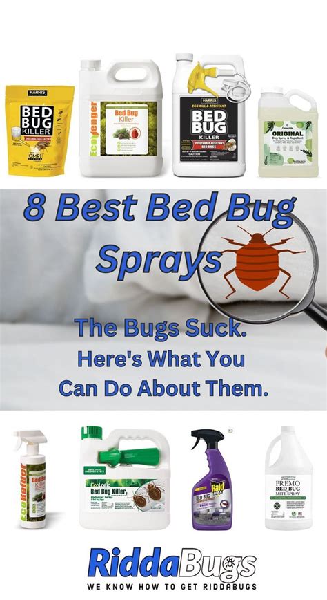 8 Best Bed Bug Sprays These Bugs Suck Get Rid Of Them With These Sprays