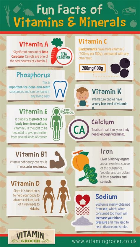 Fun Fact Of Vitamin And Mineral Visually Fun Facts Multivitamin