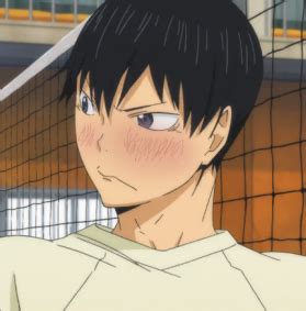 Anime One Shots Book Kageyama X Reader Haikyuu Cheering Your