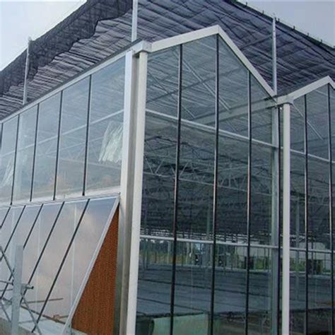 Venlo Tempered Floated Mm Mm Glass Multi Span Greenhouse For