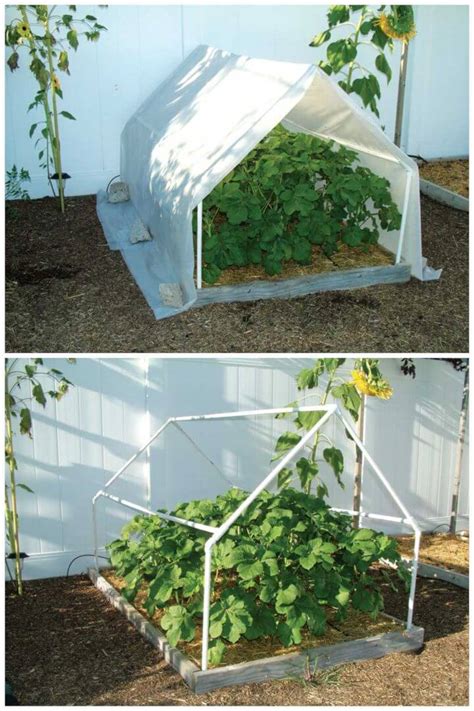 Small Pvc Greenhouse Plans