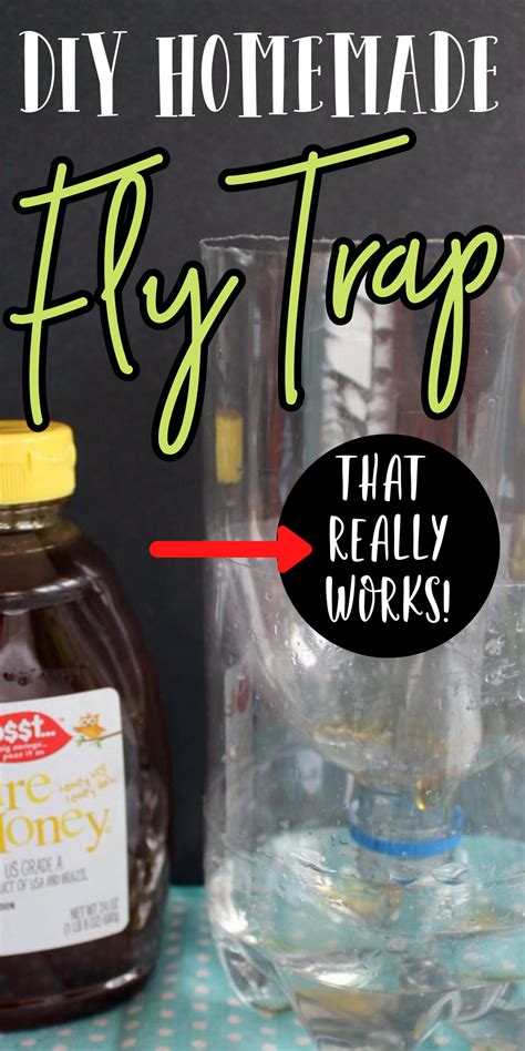 How To Make Natural Fly Repellent For Your Home Homemade Fly Traps