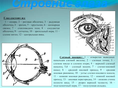 Слезное озеро - 81 фото