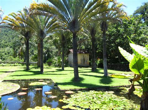 Roberto Burle Marx Refer Ncia Do Paisagismo Brasileiro