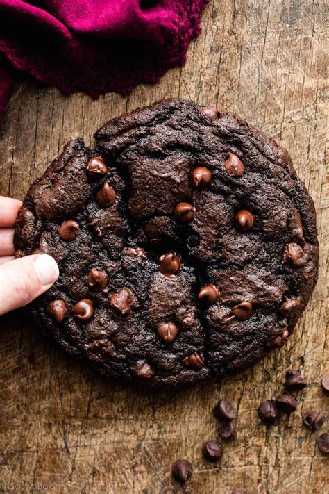 Double Chocolate Chip Cookies Chocolate Cookie Recipes Brownie