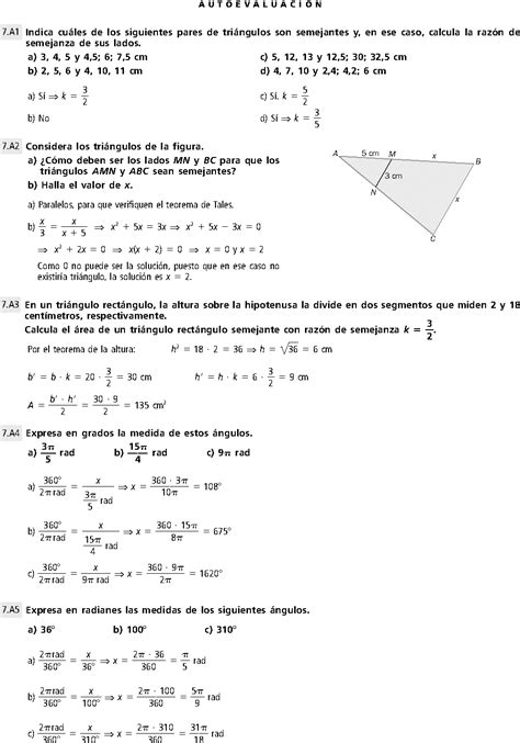 Semejanza Y Trigonometria Ejercicios Resueltos De Secundariamatematica 4 Eso Pdf