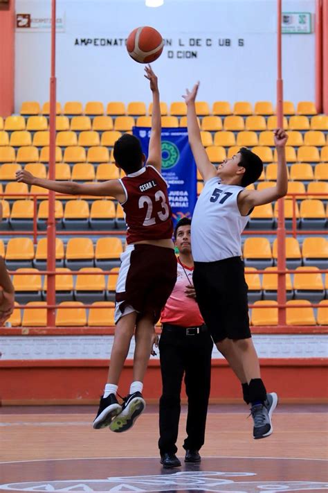 Gran Actividad De Boxeo Beisbol Y Baloncesto En La Olimpiada