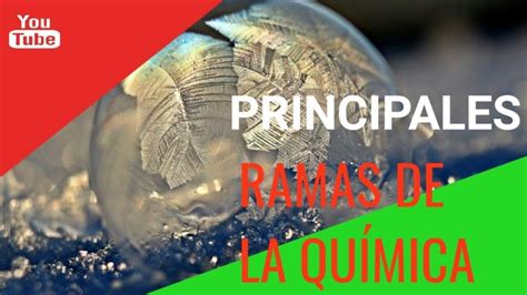 Cuál es la rama de la química mejor pagada Escuela Particular Arrayan