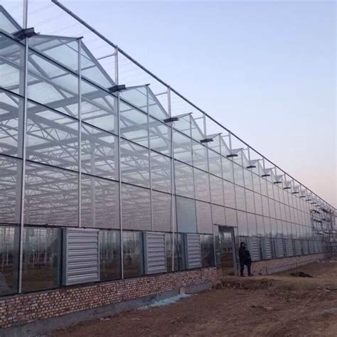 Multi Single Span Arch Venlo Type Polycarbonate Board Pc Greenhouse