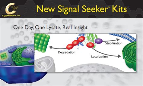 New Signal Kit Cytoskeleton New Signal Seeker