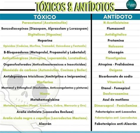 T Xicos Y Ant Dotos Yudoc Org Udocz