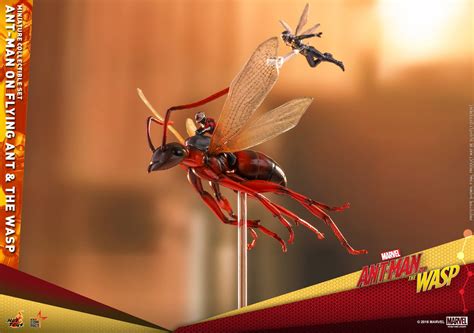 Hot Toys MMSC Ant Man On Flying Ant And The Wasp Hot Toys Complete Checklist