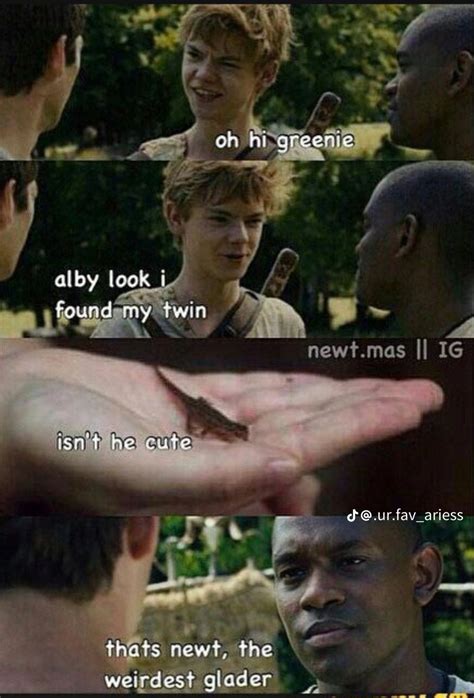 Pin By I Love The Autumn On Memes Tmr Maze Runner Funny Maze Runner