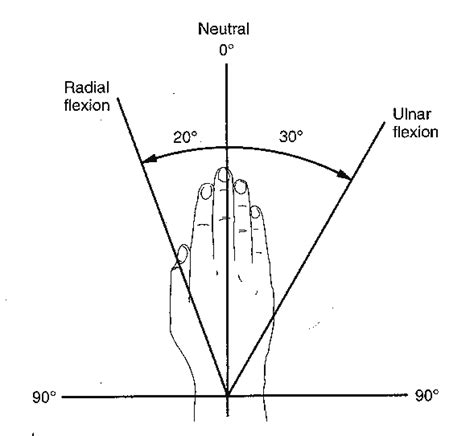 Range of Motion