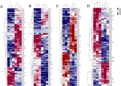 Cluster Heat Map Of Proteomics Profiles In Four Comparison Groups Each