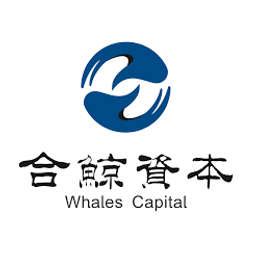 Whales Capital Crunchbase Investor Profile Investments