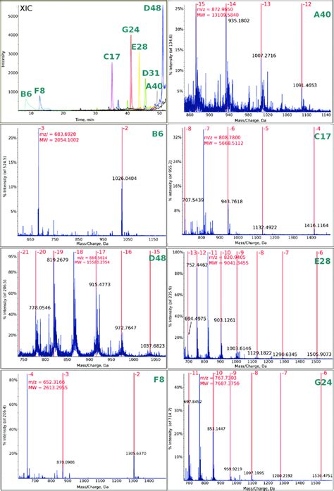 Extracted Ion Chromatogram XIC And Mass Spectra Of Multiply Charged