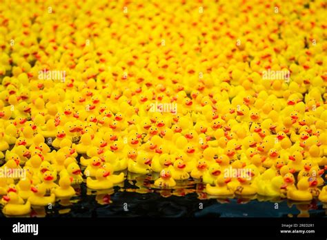 London Uk 27 July 2023 One Thousand Ducks In A Charity Rubber Duck