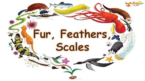 Fur Feathers Scales Animals Learning Video Ausum Sisters Youtube