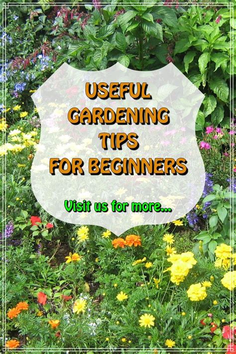 Unsure About Gardening Use This Excellent Information Gardening Tips