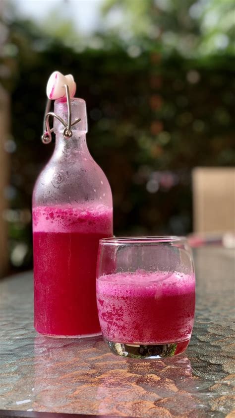 Dragon Fruit Kombucha D Kombucha