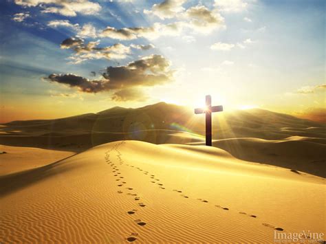 Jesus Footprints In The Sand Phone Wallpaper : Pin on greenthumb | The ...