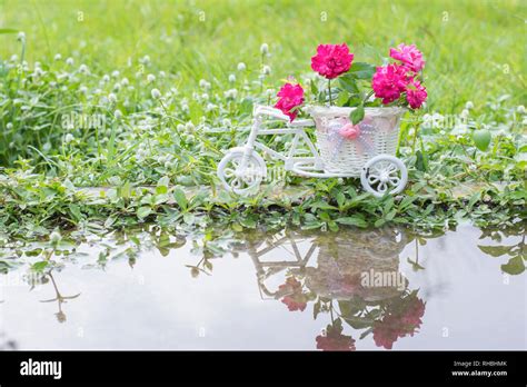 Flower delivery bike Stock Photo - Alamy