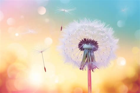 Premium Photo Dandelion Seeds Blowing In The Wind With A Beautiful