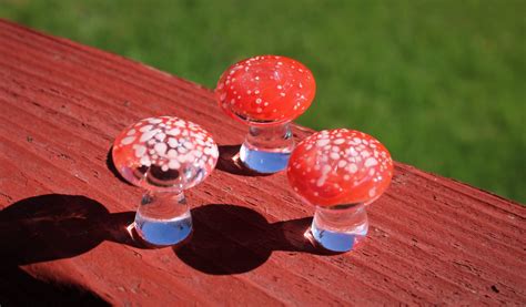 Hand Blown Glass Mushrooms Set Of Three Cheryl Hamon Jackson Etsy