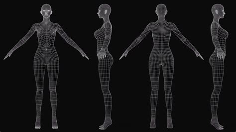 3d Model Realistic Female Body Base Mesh Vr Ar Low Poly Cgtrader