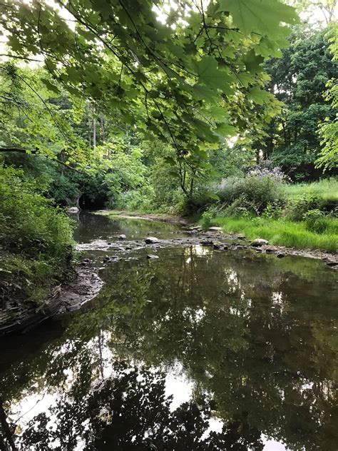 Four Mile Creek Preserve-Webster, NY | Adventures in New York