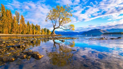 Lake Wanaka New Zealand Back To Nature