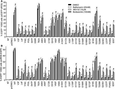 Uros Missense Mutants Trigger Premature Degradation By Proteasome In