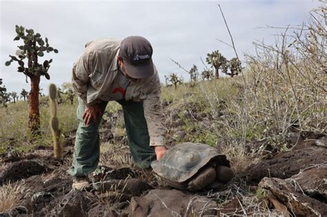 Galápagos National Park Rules | Galápagos Conservancy