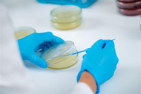 Premium Photo Microbiology Lab Work In A Research Facility