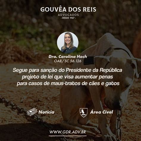 Segue Para San O Do Presidente Da Rep Blica Projeto De Lei Que Visa