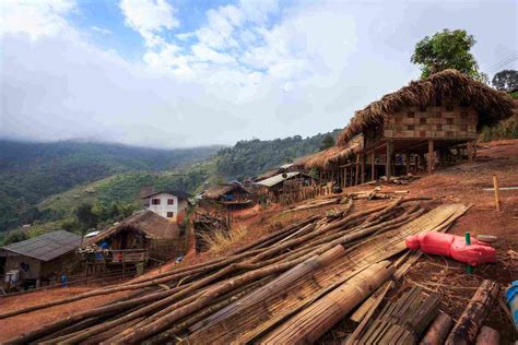 Chiang Mai Jungle Trekking Full Day Trips Chiang Mai