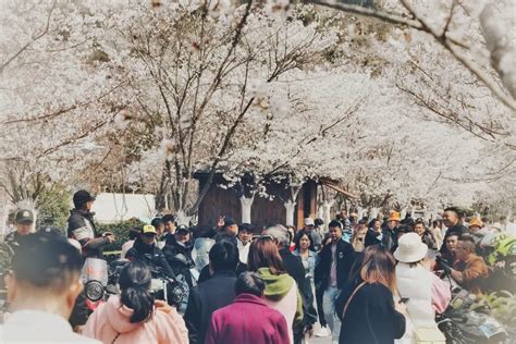 打造乡域开放式大景区 双溪乡加快推进全域旅游高质量发展