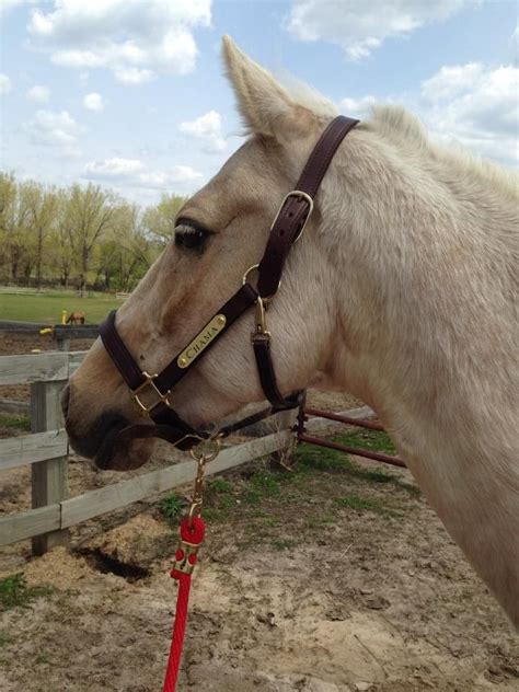 Another Handsome Customer Sporting Sffs Most Popular 140 All Around