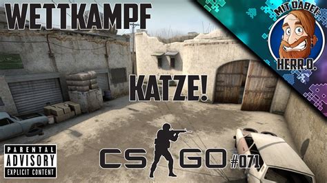 Cs Go Wettkampf Katze Hd Let S Play Counter Strike Global