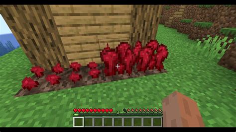 How To Grow Nether Wart In Minecraft Youtube