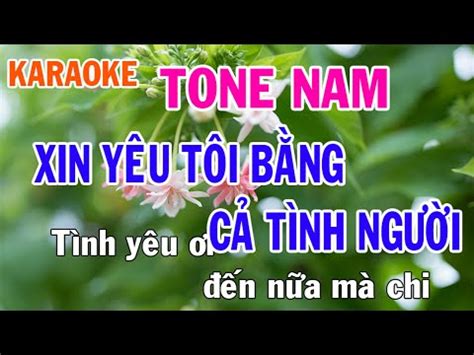 Xin Yêu Tôi Bằng Cả Tình Người Karaoke Tone Nam Nhạc Sống Phối Mới Dễ