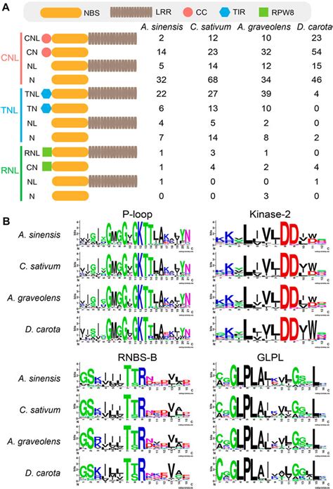 Frontiers Comparative Genomic Analysis Reveals Dynamic Nlr Gene Loss