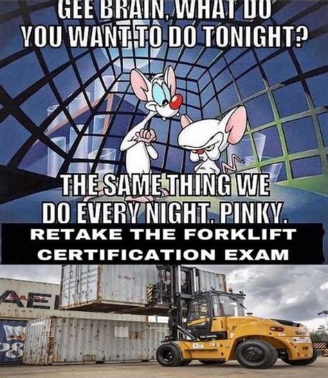 What Do You Want To Do Tonight Forklift Certified Forklift Memes