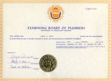 Master Plumber Certificate | TUTORE.ORG - Master of Documents