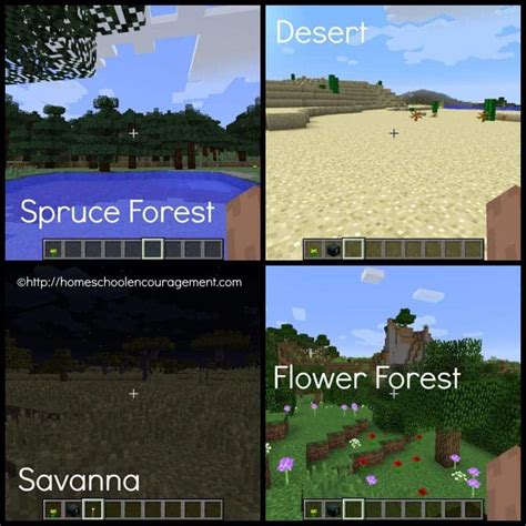 Learning about Biomes with Minecraft